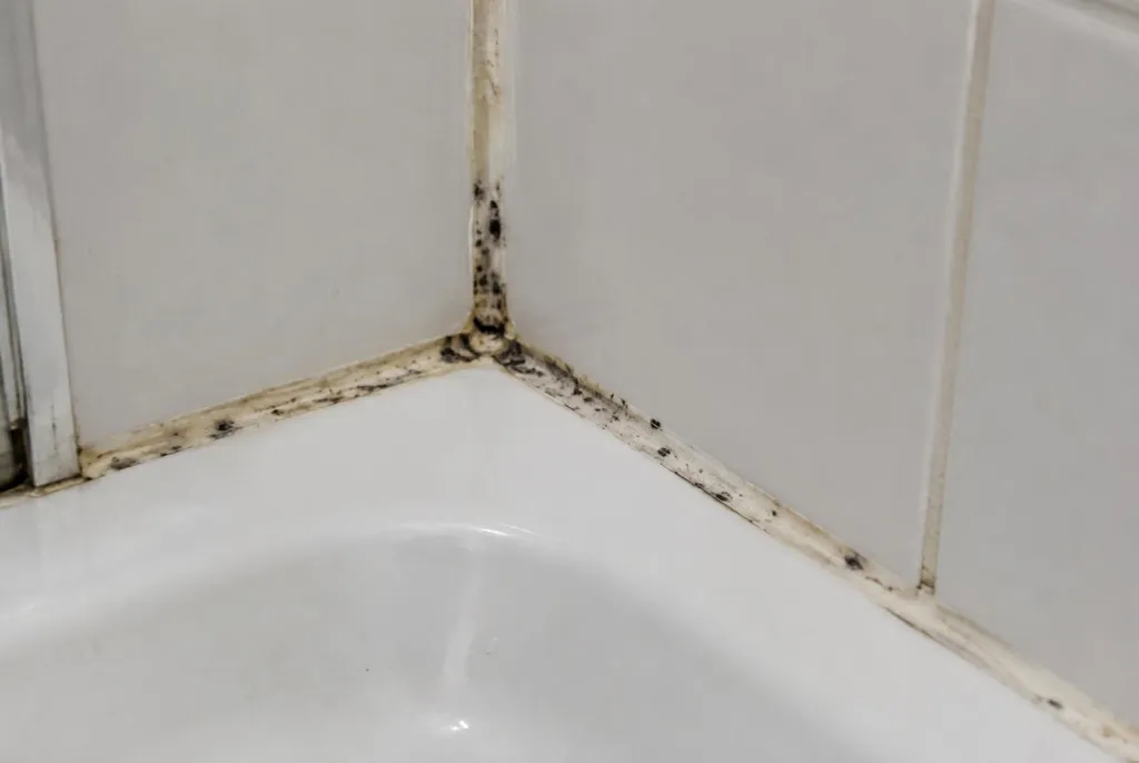 Kitbedrijf Heusden – beschimmelde kitranden